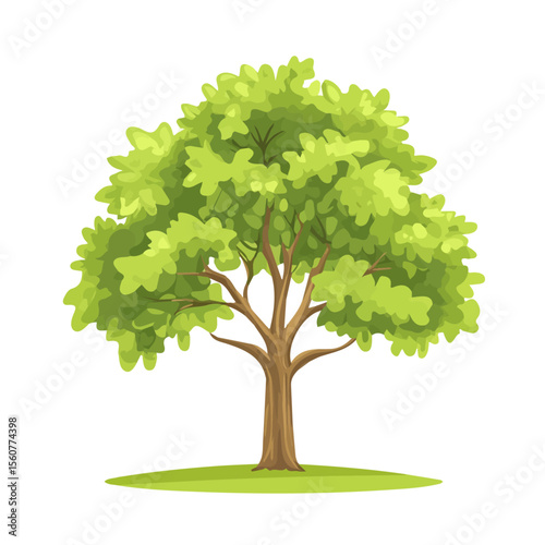 Chestnut Tree, flat style 2D vector image, isolated on a white background