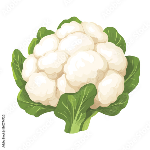 2D flat vector illustration of a Cauliflower in icon style, isolated on white background