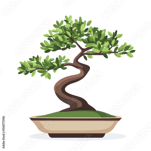 Bonsai Tree, flat style 2D vector image, isolated on a white background