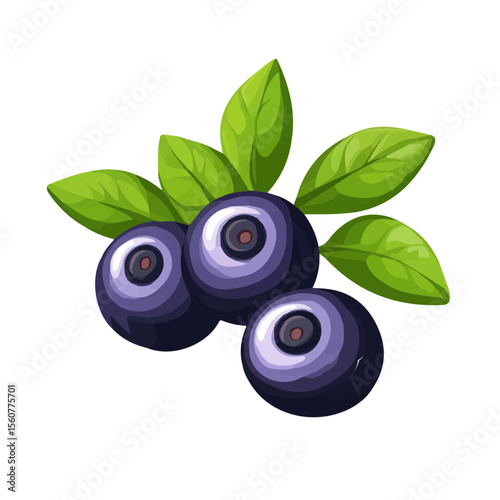 Minimal flat vector of a Bilberry, 2D icon-style illustration on white background