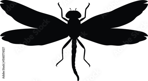 Silhouette illustration of a detailed dragonfly on a white background with extended wings
