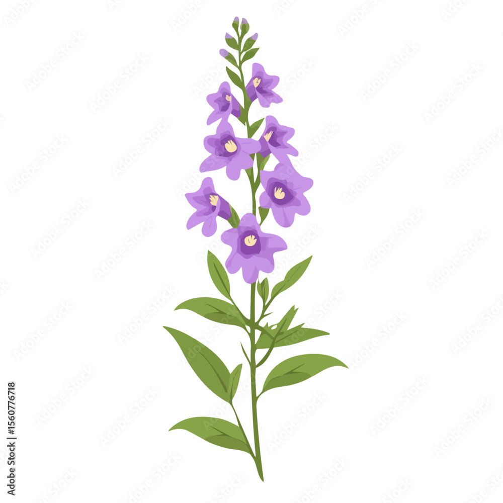 Obraz premium Flat 2D Angelonia Flower illustration, vector graphic in icon style, on white background