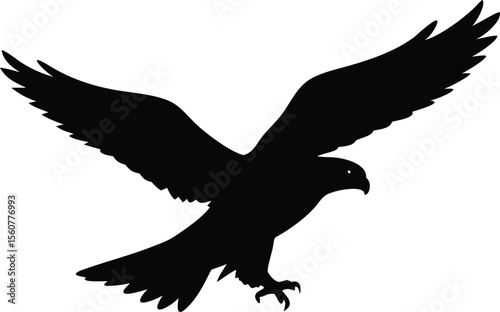 Silhouette of a powerful eagle in flight with fully extended wings against white background