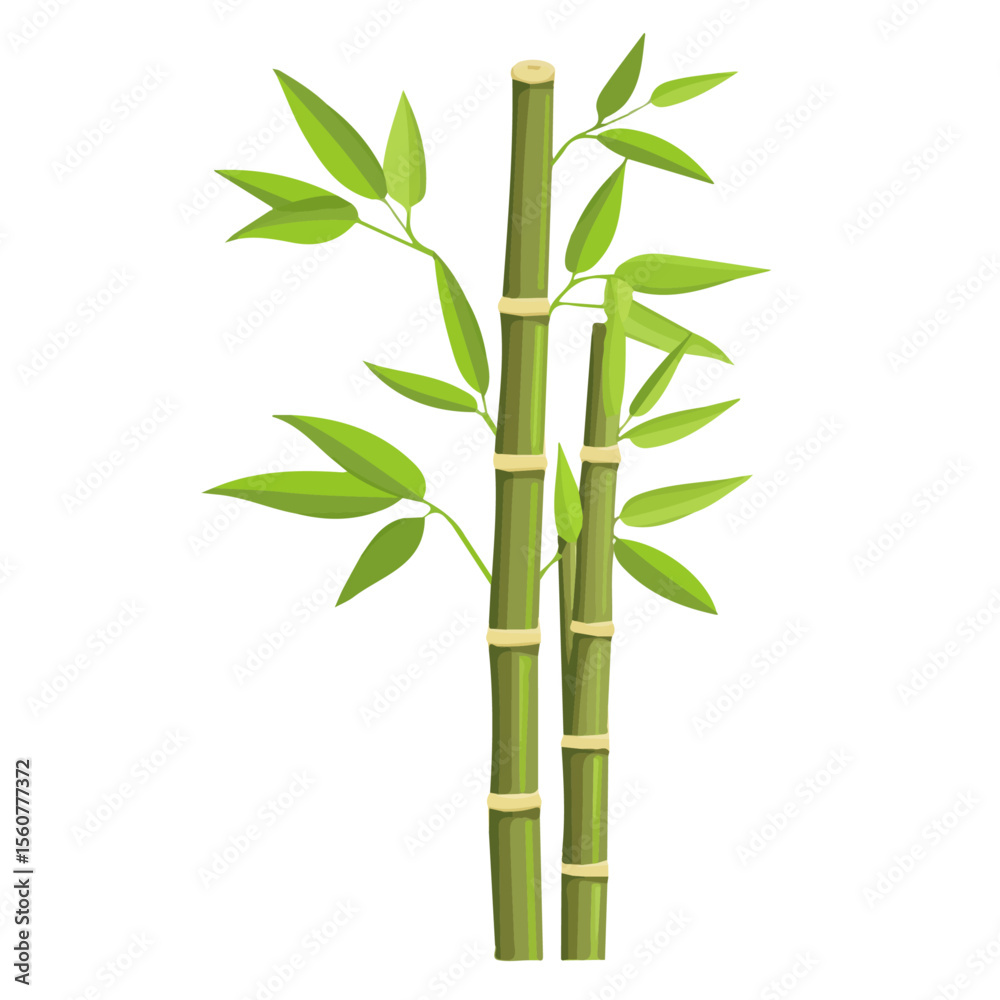 Obraz premium Minimal flat vector of a Bamboo, 2D icon-style illustration on white background