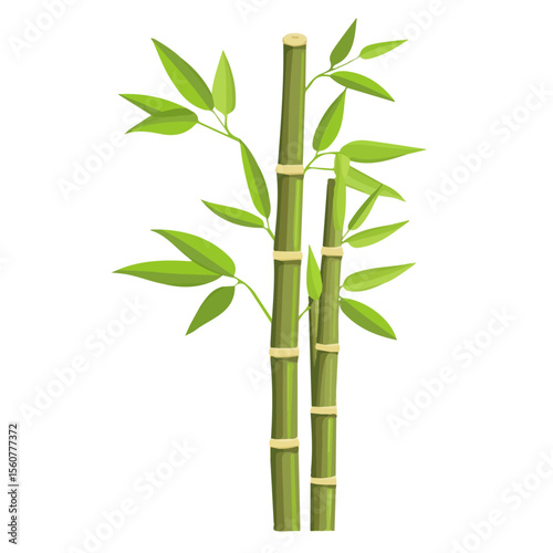 Minimal flat vector of a Bamboo, 2D icon-style illustration on white background