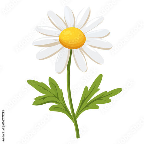 2D flat vector illustration of a Chamomile Herb in icon style, isolated on white background