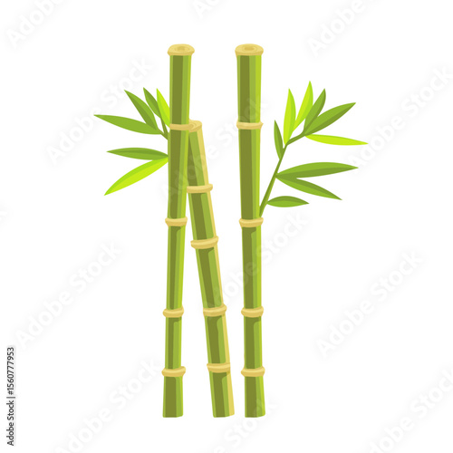 Bamboo, flat style 2D vector image, isolated on a white background
