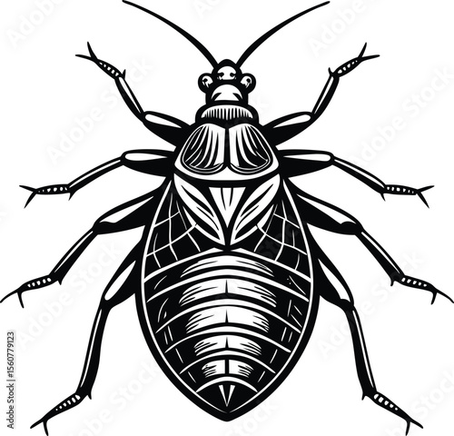 Detailed Vector Illustration of a Shield-Shaped Insect  High-Resolution Black and White Graphic