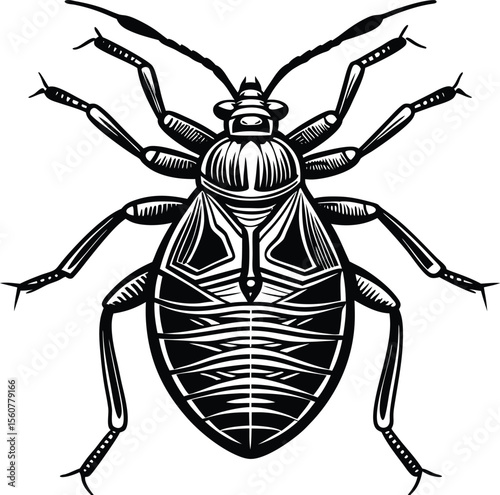 Detailed Line Art Illustration of a Pest Insect Black and White Vector Graphic of an Aphid-like Bug