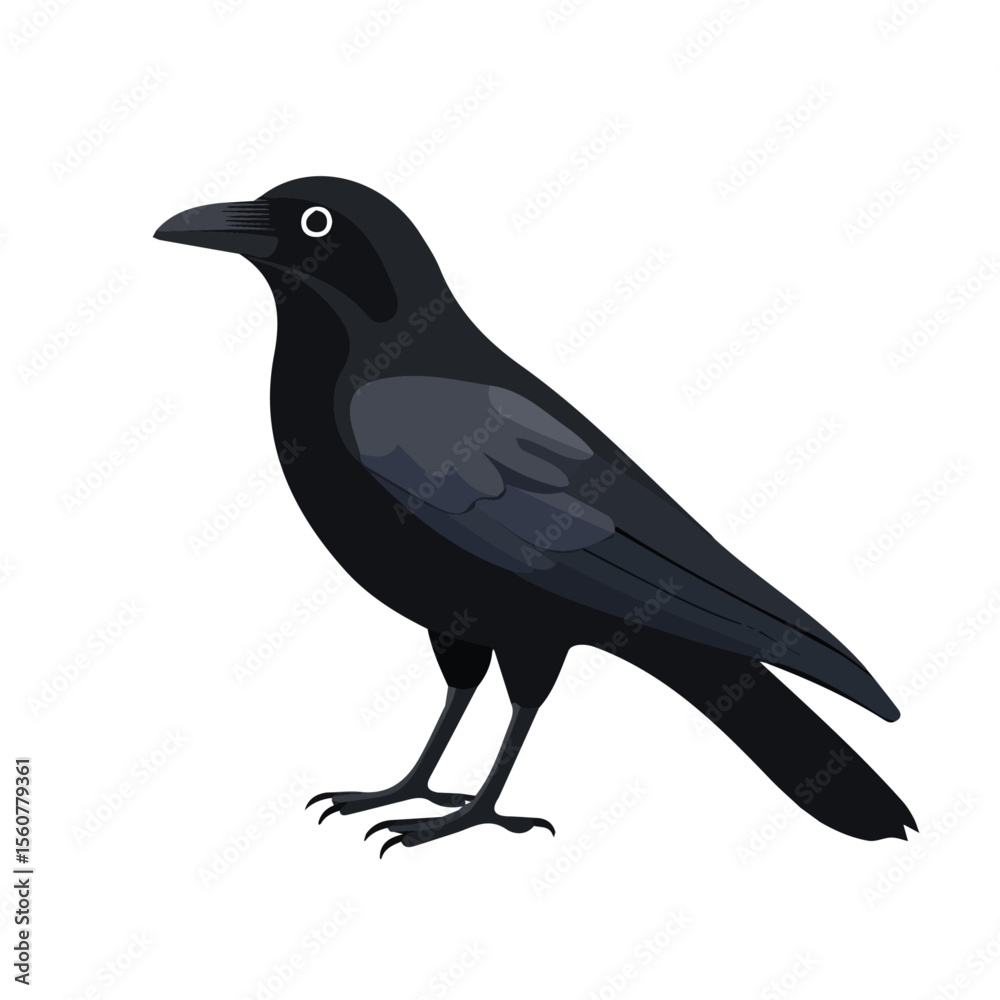 Obraz premium Minimal flat vector of a Crow, 2D icon-style illustration on white background