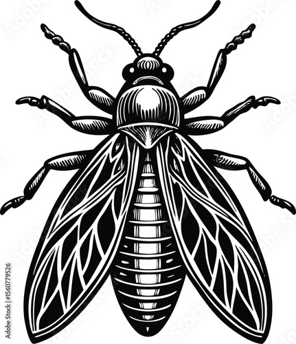 Intricate Black and White Illustration of a Firefly or Lightning Bug Detailed Vector Art