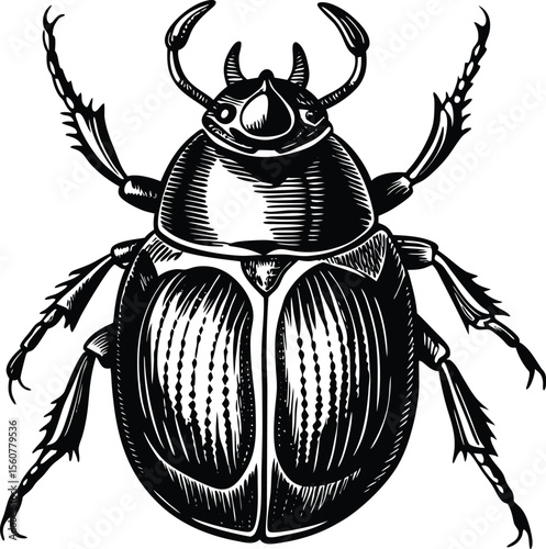 Detailed Illustration of a Dung Beetle  Engraving Style Vector Graphic