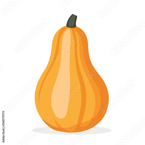 Butternut Squash, flat style 2D vector image, isolated on a white background