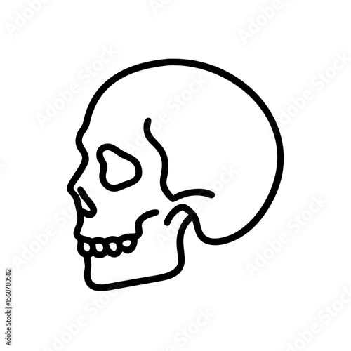 Skull side view outline in minimalist style on white background  