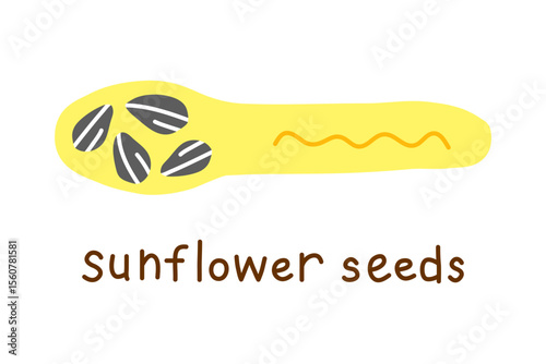 Hand drawn flat sunflower seeds in wooden spoon isolated on white background. Vegan high protein.