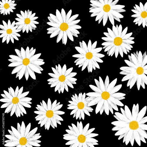 white daisies seamless pattern background