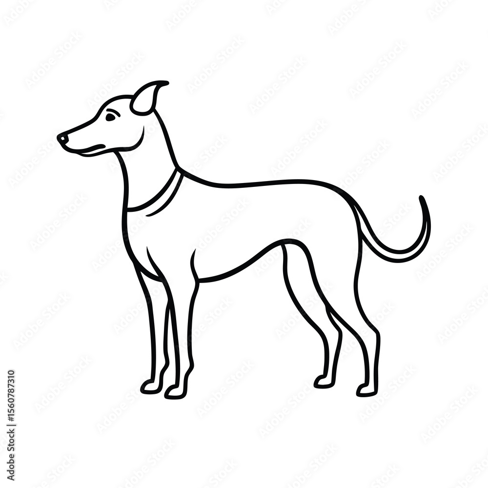 Obraz premium graceful fur lines on dog outline drawing art