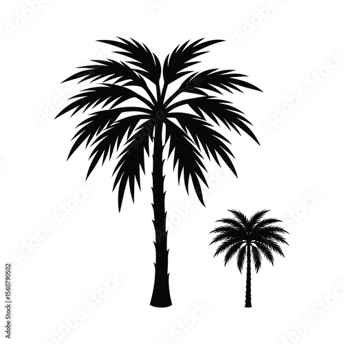 A black silhouette of two palm trees, one large and one small, on a white background.