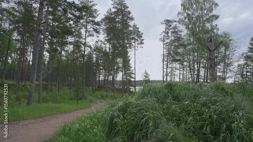 Immerse yourself in the serene beauty of Finland during spring. Experience the soothing sea waters and the vibrant greenery. Nature invites relaxation and peace in this stunning landscape.	