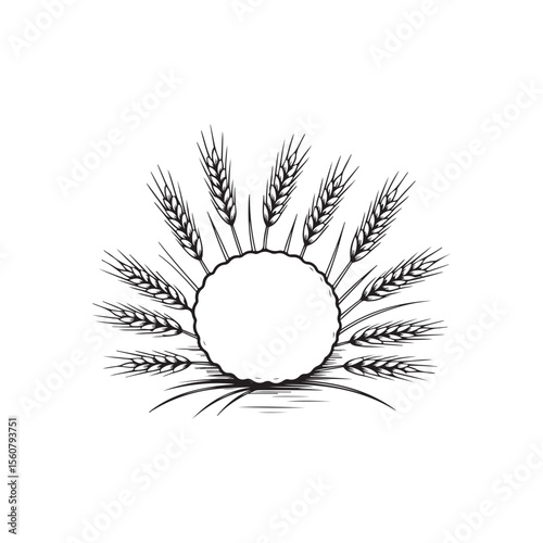 Hand-drawn Wheat Ears Frame for Design Elements.A black and white hand-drawn graphic of wheat ears radiating around a blank circle.