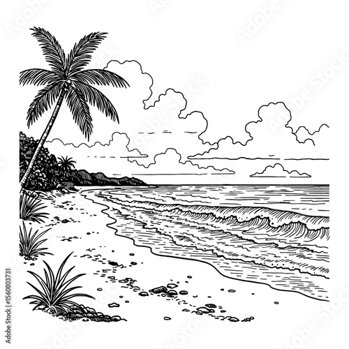 Beautiful Tropical Beach Landscape with Palm Tree Ocean Waves and Clouds Black and White Outline Line Art Drawing