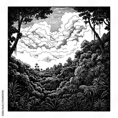 Beautiful Rainforest Landscape Above Cloud Sky View Detailed Jungle Black and White Outline Line Art Drawing