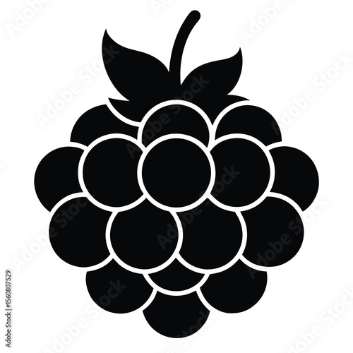 Black Raspberry Icon