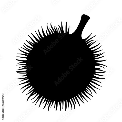 Minimalist black silhouette of rambutan with distinctive hairy spikes on white background