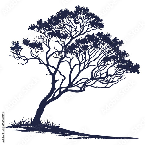 tree silhouette vector of desert fig