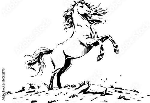 Horse The Perfect Jump