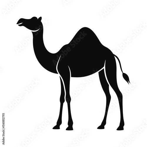 Silhouette Illustration of a Standing Camel Showcasing Desert Wildlife