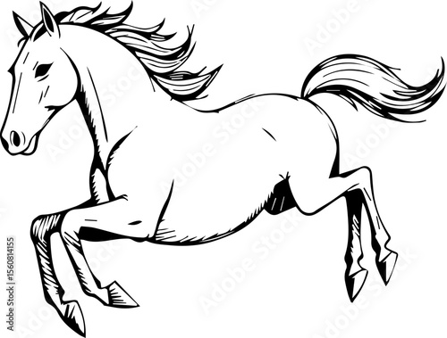 Equestrian Beauty Graphic

