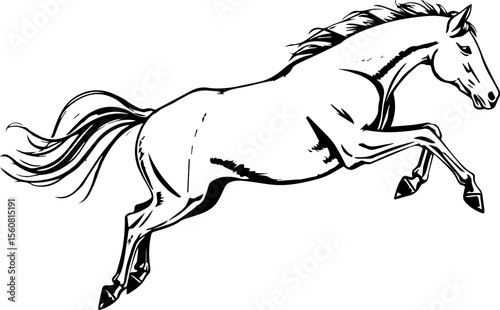 Powerful Prancing Steed

