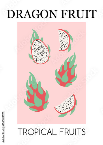 A banner with dragon fruits. Summer illustration for designs Vector illustration Tropical fruits	
