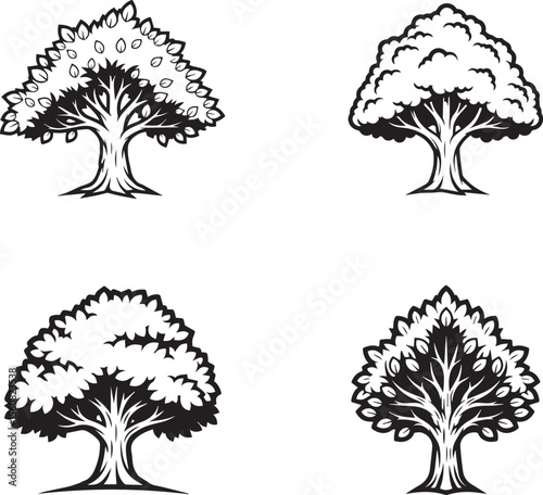 vector illustration of elm tree