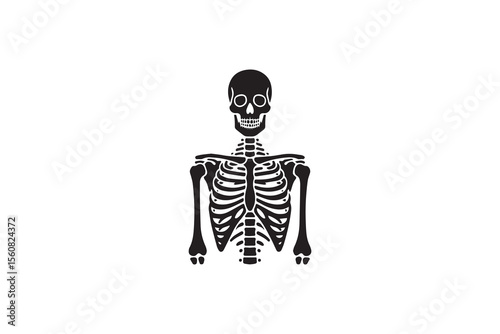 A human skeleton  silhouette with a simple, understated design set against a white background 