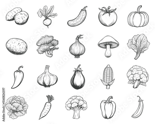 Vegetable Collection: A sketched assortment of fresh produce and fungi.