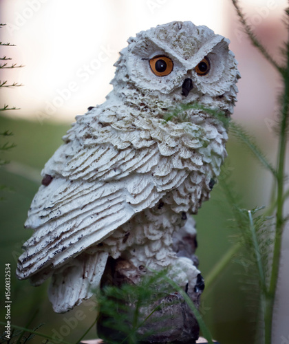 great grey owl