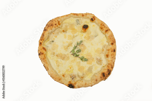 They are an excellent option for pizzerias that cannot install a wood-fired oven.