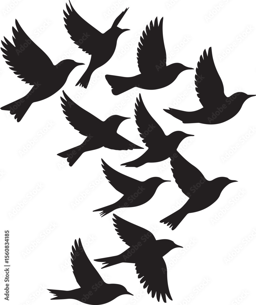 Obraz premium Birds Silhouette Vector Illustration