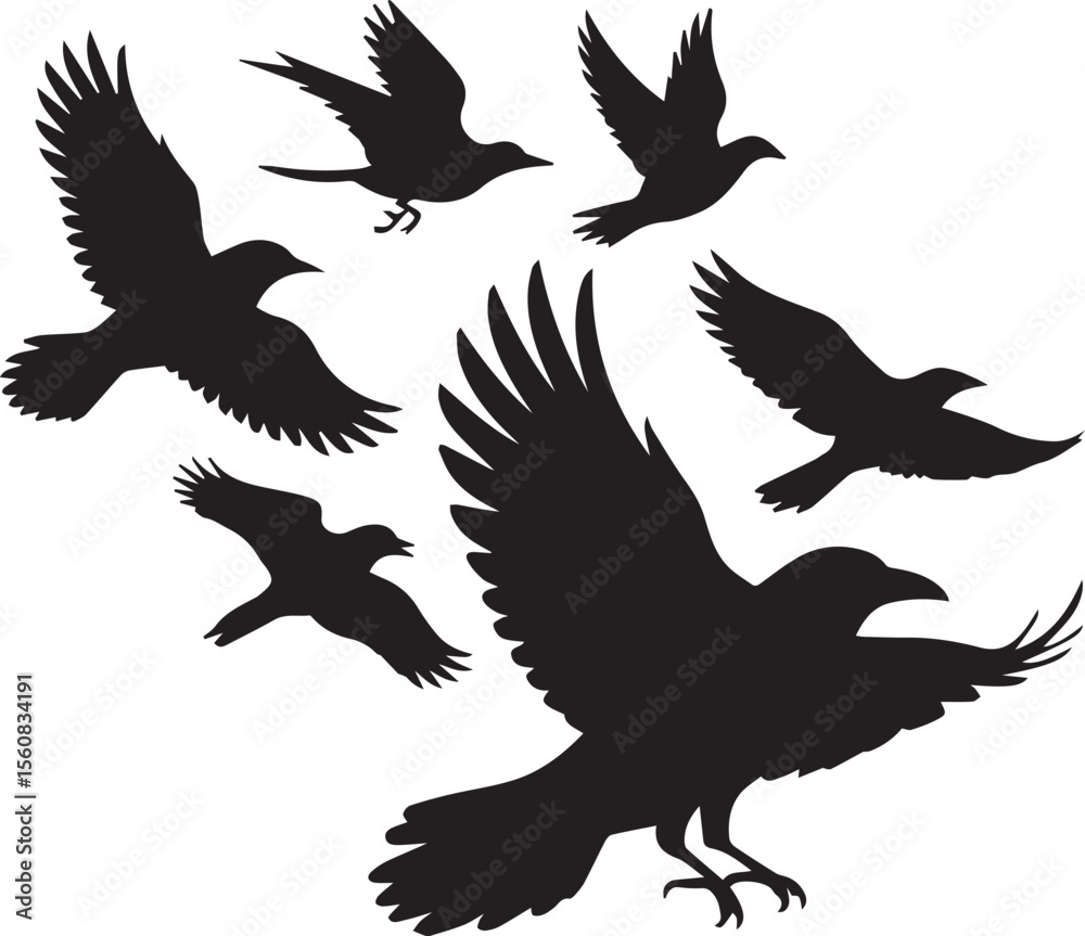 Obraz premium Birds Silhouette Vector Illustration