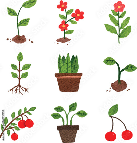 Watercolor element set of nature plants, flowers, fruits and objects on isolated background