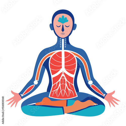 A vector illustration of meditation with internal body organs.