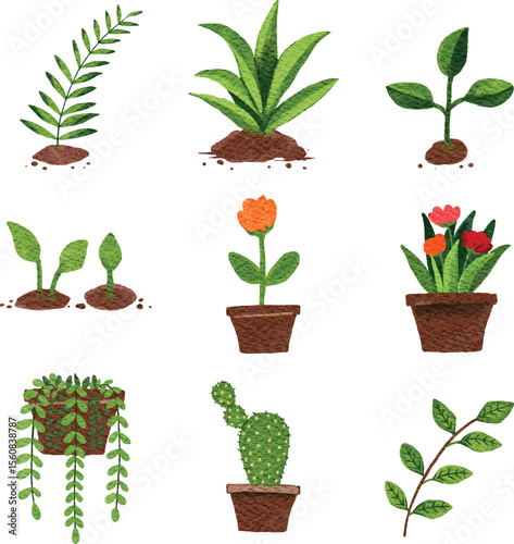 Watercolor element set of nature plants, flowers, fruits and objects on isolated background