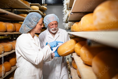 Cheese production. Food technologists discussing about quality of cheese wheels ripening on the shelves.
