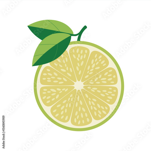 Stylized citrus fruit slice with green leaves lime