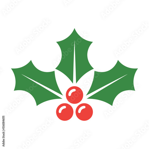Green holly leaves with red berries christmas winter