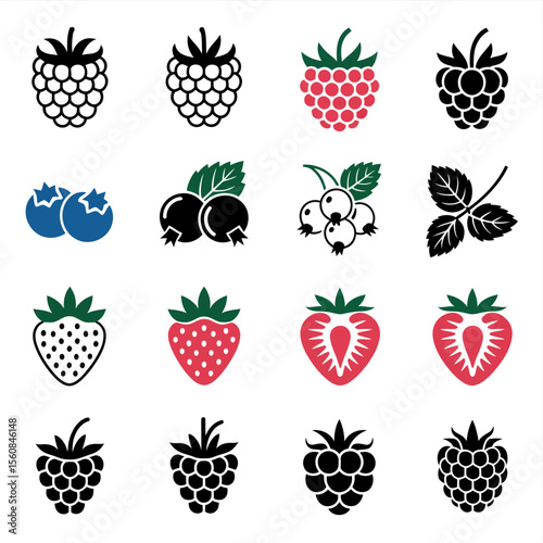 Stylized berry illustrations raspberry blueberry currant strawberry vector