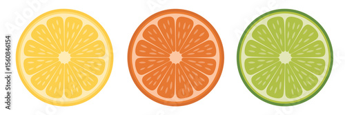 Yellow orange green citrus slices lemon lime