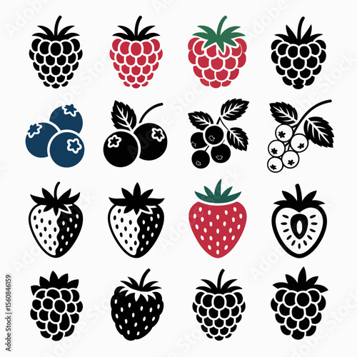 Stylized berry illustrations red blue black white raspberry blueberry